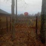 IMG-20251028-WA0087